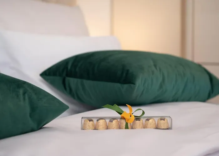 Stella Exclusive Center Of * 오파티아