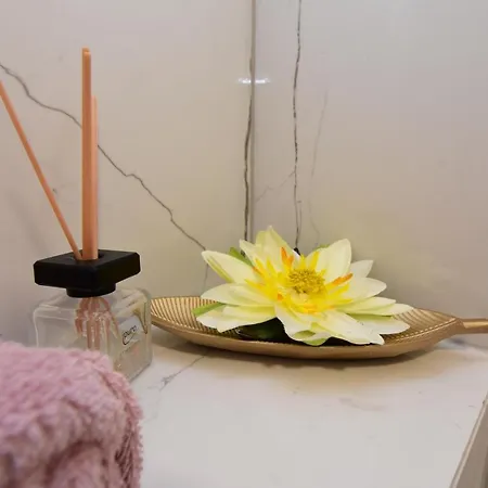 Stella Exclusive Center Of 公寓 奥帕提亚